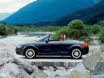 Audi TT Roadster 1999 года (WW)